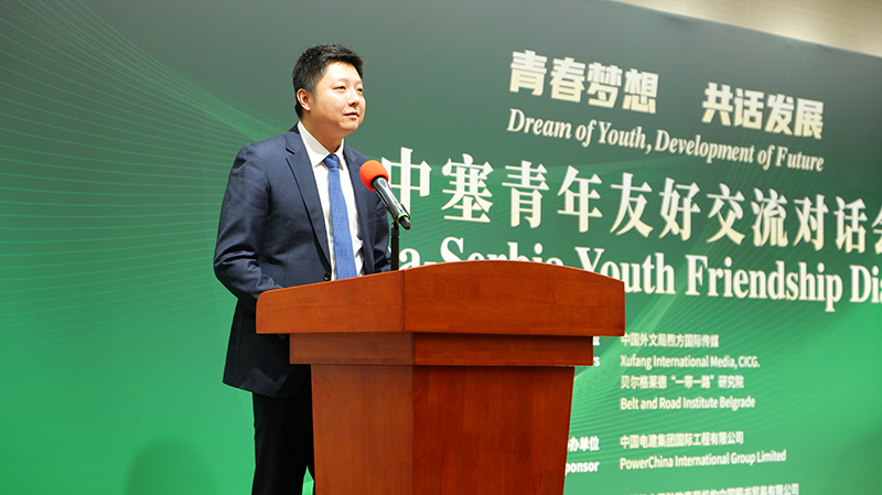 2.主旨发言-电建国际副总经济师、中国电建欧亚区域总部副总经理杨帆.jpg