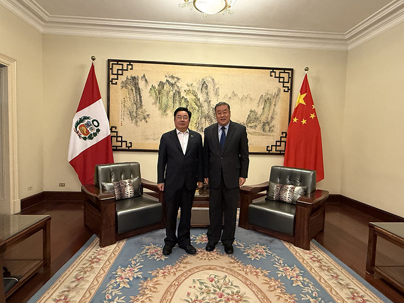 拜访中国驻秘鲁大使馆宋扬大使.jpg