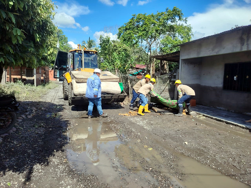 救灾小组道路清障 (2).jpg